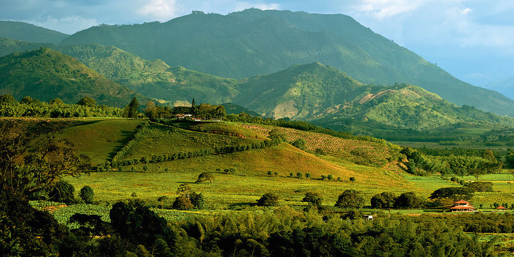 Hacienda Bambusa El Caimo Exteriör bild