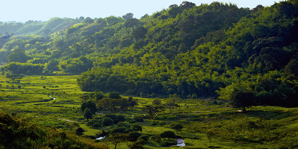 Hacienda Bambusa El Caimo Exteriör bild