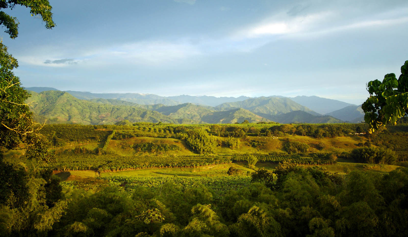 Hacienda Bambusa El Caimo Exteriör bild